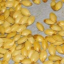 Nuts and Seeds