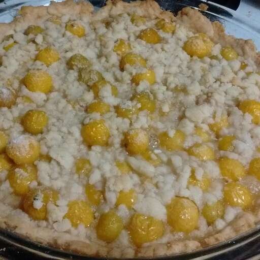 Ground Cherry Pie II